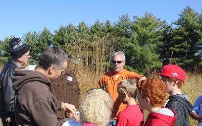 When I In Awesome Wonder