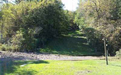 The Rain Come; The Prayers Went Up