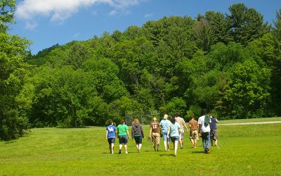 This Year’s Line Up